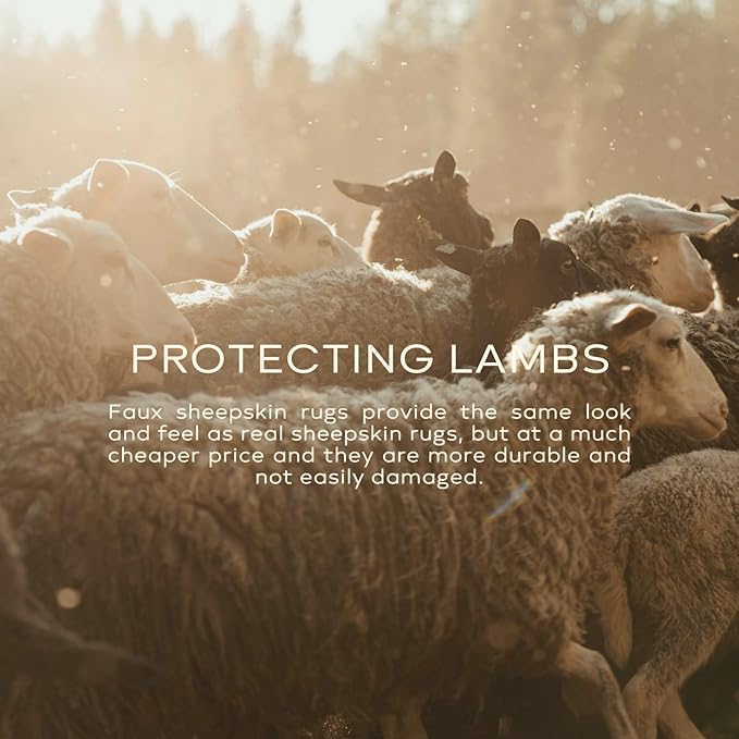 Ashler Faux Fur Rug, Fluffy Shaggy Area Rug Ultra Soft 2.3 x 3.3 Feet Sheepskin Fur Rug, Dark Grey Fuzzy Rug Machine Washable Shag Rug, Nursery Decor Throw Rugs for Bedroom, Kids Room, Living Room