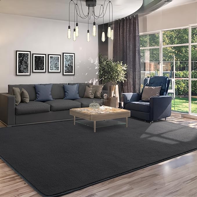 AROGAN Modern Shag Area Rug for Bedroom, 4x6 Feet Washable Rugs for Living Room, Indoor Floor Carpet, Plush Memory Foam Bedside Rugs for Kids Girls Teens Room Low Pile, Dark Grey