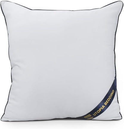 Utopia Bedding Throw Pillow Inserts (Pack of 4, White), 22 x 22 Inches Decorative Indoor Pillows for Sofa, Bed, Couch, Cushion Sham Stuffer