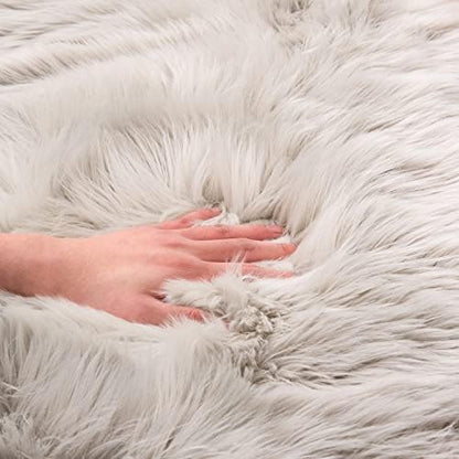 EasyJoy Ultra Soft Fluffy Shaggy Area Rug Faux Fur Rug Chair Cover Seat Pad Fuzzy Area Rug for Bedroom Floor Sofa Living Room (2 x 3 ft Sheepskin, Light Grey)