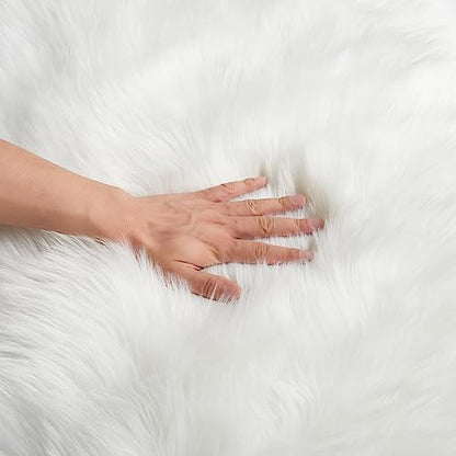 EasyJoy Ultra Soft Fluffy Shaggy Area Rug Faux Fur Rug Chair Cover Seat Pad Fuzzy Area Rug for Bedroom Floor Sofa Living Room (2 x 6 ft Sheepskin, White)