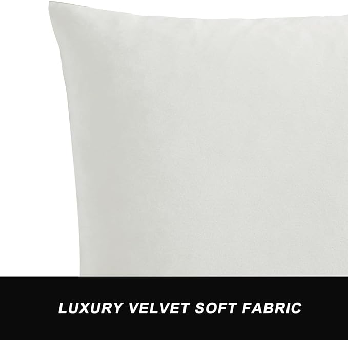 GIGIZAZA Decorative Couch Throw Pillow Covers,Set of 2 Rice Ivory White Square Pillow Cushion Covers 22x22,Pillow Cases Velvet Pillow Covers