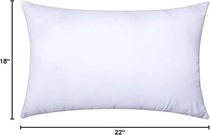 MIULEE Throw Pillow Insert Premium Pillow Stuffer Sham Rectangle Form for Decorative Cushion Bed Couch Sofa 18x22 Inch