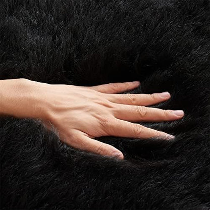 EasyJoy Ultra Soft Fluffy Shaggy Area Rug Faux Fur Rug Chair Cover Seat Pad Fuzzy Area Rug for Bedroom Floor Sofa Living Room (2 x 3 ft Sheepskin, Black)