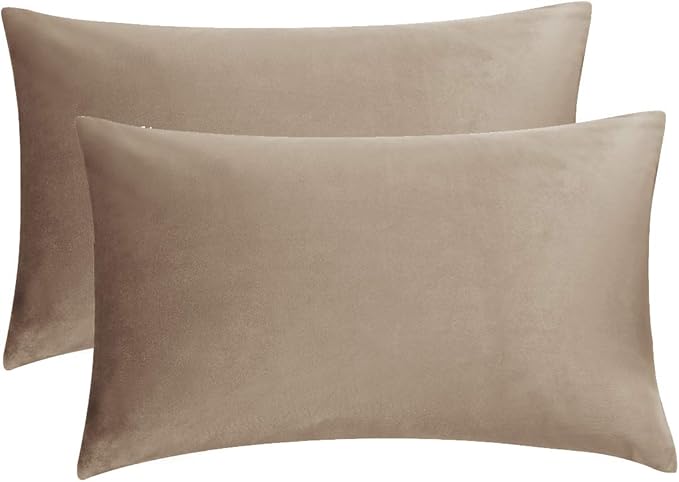 GIGIZAZA Velvet Taupe Decorative Throw Pillow Covers Couch Pillow Lumbar Cushion Cover 12x20 Pack of 2