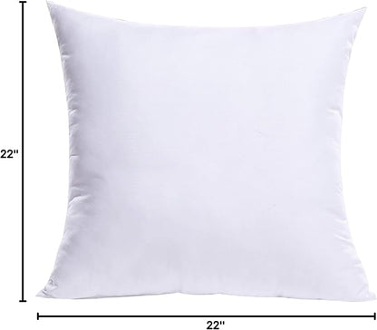MIULEE Throw Pillow Insert Premium Pillow Stuffer Sham Square for Decorative Cushion Bed Couch Sofa 22x22 Inch