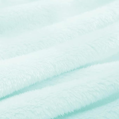Exclusivo Mezcla Plush Fuzzy Fleece Throw Blanket, Super Soft, Fluffy and Warm Blankets for Couch, Bed, All Season (Mint Green, 40x50 inches)