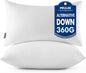 MIULEE Throw Pillows Inserts, Pack of 2 12x20 Inch 100% Virgin Fiber Filling Bed Couch Pillows