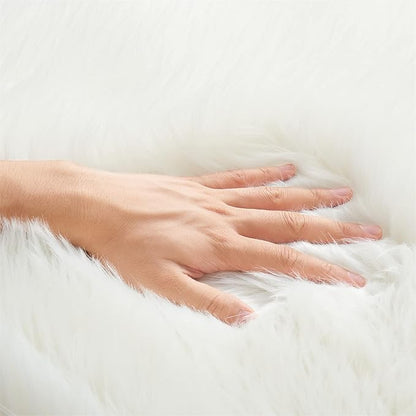 EasyJoy Ultra Soft Fluffy Shaggy Area Rug Faux Fur Rug Chair Cover Seat Pad Fuzzy Area Rug for Bedroom Floor Sofa Living Room (4 x 6 ft Rectangle, White)