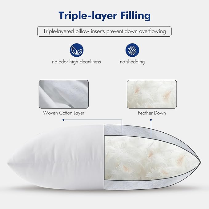MIULEE Feather Pillow Insert 22x22, Decorative Down Throw Pillow Insert Fluffy Throw Pillow Cotton Fabric for Sofa Bed Couch