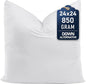 Utopia Bedding Throw Pillows (Set of 1, White) – 24 x 24 Inches Down Alternative Pillows for Bed, Sofa, and Couch - Fluffy Decorative Stuffer Pillow for Indoors & Outdoors