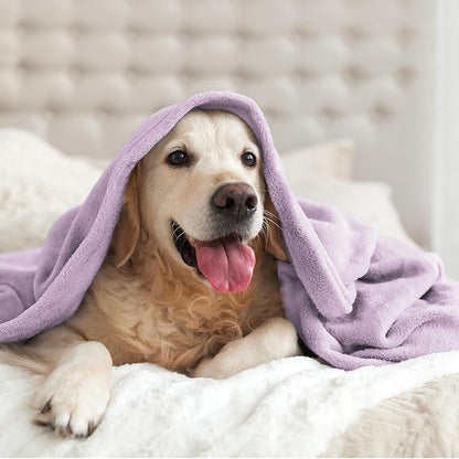 BEDELITE Fleece Blanket Twin Size Lilac Throw Blankets for Couch & Bed, 300GSM Luxury Plush Cozy Fuzzy Blanket 60x80 inches, Super Soft Warm Lightweight Throw Blanket for Travel Camping