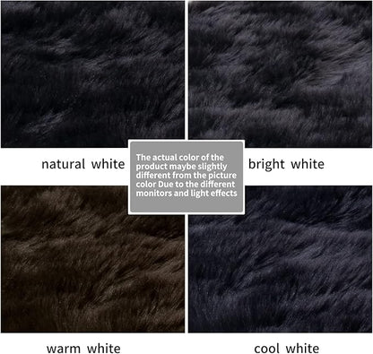 Faux Fur Rug Sofa Chairs Cover, Black Small Rug for Bedroom, 2X3 Shaggy Furry Rugs for Kids Room, Shag Fluffy Rugs for Nursery Room, Soft Fuzzy Plush Carpet, Cute Floor Dorm Decor