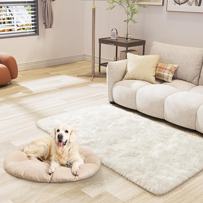 LOCHAS Ultra Soft Indoor Modern Area Rugs 2' x 4', Fluffy Living Room Carpets for Children Bedroom Home Decor Nursery Rug, Cream