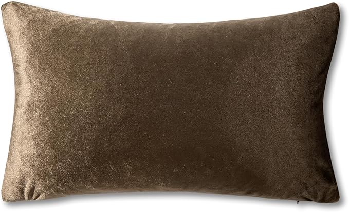 GIGIZAZA Brown Velvet Pillow Covers 12x20,Small Solid Throw Pillow Covers Decorative Modern Pillows Lumabr Vintage Cases Pack of 2