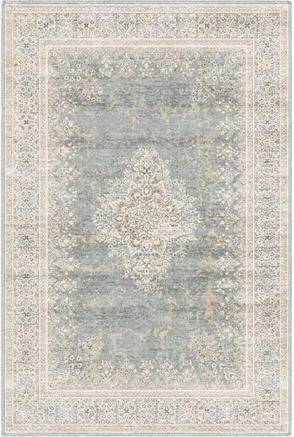 2x3 Entryway Rug Non-Slip Washable Thin Indoor Vintage Rug Low-Pile Floor Carpet for Entrance Bedroom Kitchen Bathroom Beige Grey
