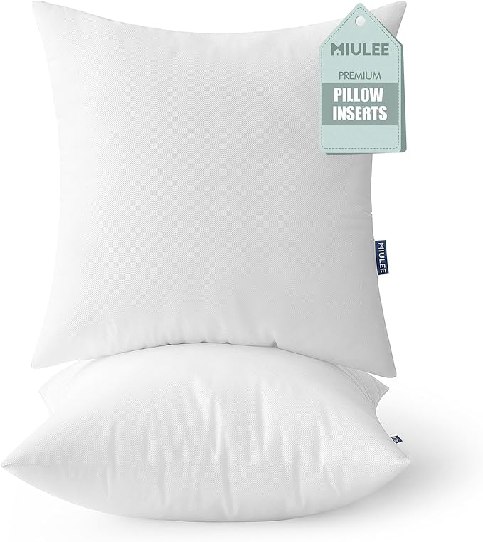 MIULEE Set of 2 Throw Pillow Inserts 20x20 Inches, Nowoven Decorative Pillow Inserts for Living Room