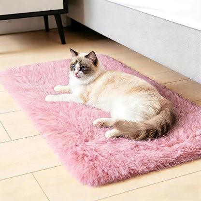 2x3 Fluffy Area Rugs for Bedroom Living Room,Small Soft Shag Fuzzy Rug Non-Shedding Indoor Plush Carpet for Kids Bedroom Nursery Dorm Home Decor,Pink