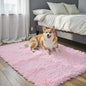 Small Rug Throw Rugs for Bedroom, Mini Area Rug, Fluffy Pink Carpet, Affordable Door Entryway Indoor Inside Front Entrance Dog 2x3 Mat, Home Decor Aesthetic(2 x 3, Pink)