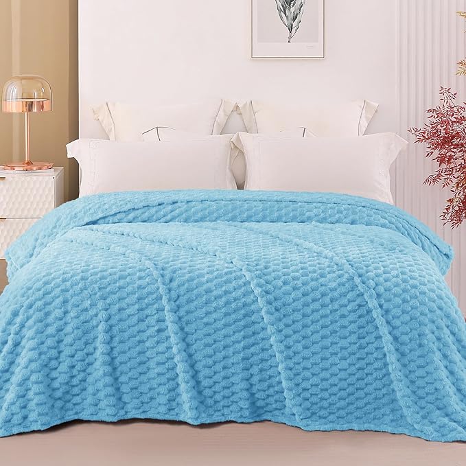 Exclusivo Mezcla Fleece Queen Blanket for Bed, Extra Large Fuzzy Blue Bed Blankets, Soft Cozy Plush Sofa Throws for All Seasons, 90x90 Inches
