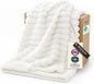 Bedsure GentleSoft Twin XL Blanket for Bed - Cozy Soft Blankets for Women, Cute Small Fleece Throws for Girls, Graduation Decorations Gift for Her Him School Dorm, Off White, 66x90 Inches