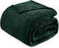 Exclusivo Mezcla Fleece King Size Blanket for Bed, 90x104 Inches Soft Cozy Jacquard Flannel Blankets, Lightweight Fuzzy Plush Warm for Women, Forest Green