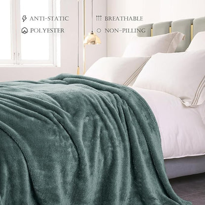Exclusivo Mezcla Plush Fuzzy Fleece Bed Blanket King Size, Super Soft, Fluffy and Warm Blankets for Couch, Bed, All Season (Celadon, 90x104 inches)