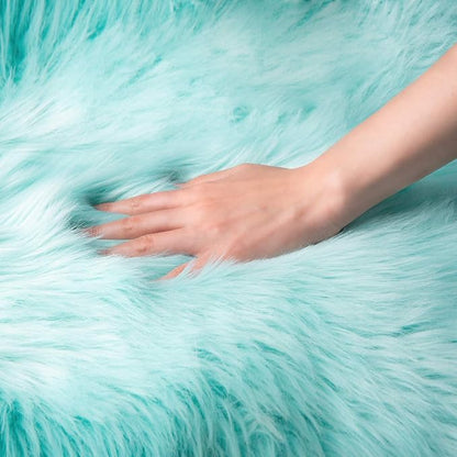 Ashler Faux Fur Area Rug, Fluffy Shaggy 3 x 5 Feet Rectangle Turquoise Fuzzy Machine Washable Shag Rug for Nursery, Kids & Living Room