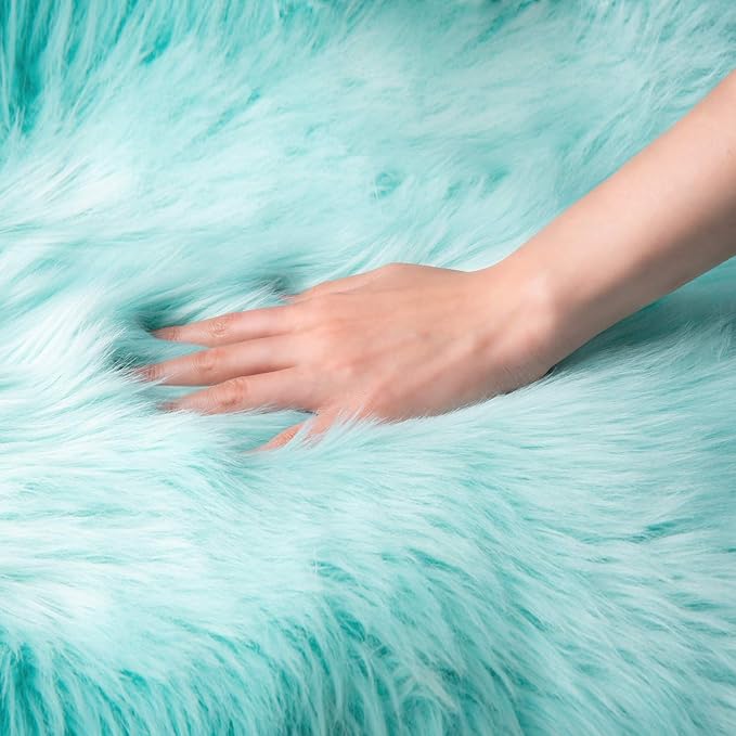 Ashler faux fur rug, Fluffy Shaggy Area Rug Ultra Soft 2 x 3 Feet Sheepskin Fur Rug, Turquoise Fuzzy Rug Machine Washable Shag Rug, Nursery Decor Throw Rugs for Bedroom, kids room, Living Room
