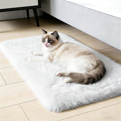 2x3 Fluffy Area Rugs for Bedroom Living Room,Small Soft Shag Fuzzy Rug Non-Shedding Indoor Plush Carpet for Kids Bedroom Nursery Dorm Home Decor,White
