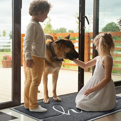BeneathYourFeet Door Mat (36"x24",Dark Grey), Welcome Mat Low Profile Front Doormat Non Slip Mats for Entryway, Patio, High Traffic Areas