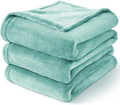 BEDELITE Fleece Blanket Twin Size Haze Blue Throw Blankets for Couch & Bed, Luxury Plush Cozy Fuzzy Blanket 60x80 inches, Super Soft Warm Lightweight Throw Blanket for Travel Camping