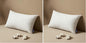 MIULEE Pillow Insert 12x20 Inch, Decorative Rectangle Throw Pillow Insert, Premium Fluffy Pillow Forms Stuffer for Sofa Couch Living Room (Pack of 2)
