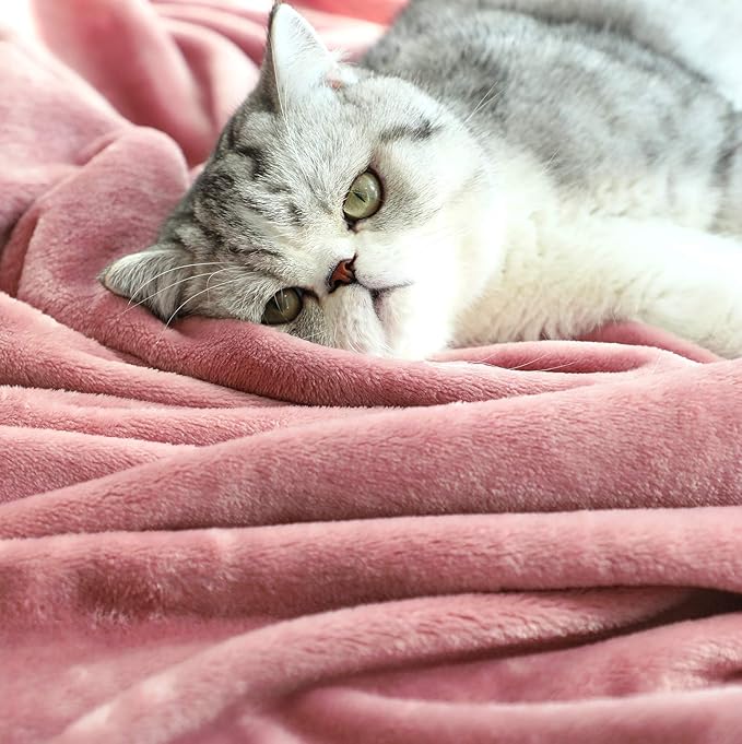 TASTHROW Large Flannel Fleece Throw Blanket, 50×70 Inch - Cozy Lightweight Thick Blanket - All Seasons Suitable for Women, Men and Kids (Two Pack, Pink)