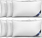 Utopia Bedding Throw Pillow Inserts (Pack of 6 White), 12 x 20 Inches Decorative Indoor Pillows for Sofa, Bed, Couch, Cushion Sham Stuffer