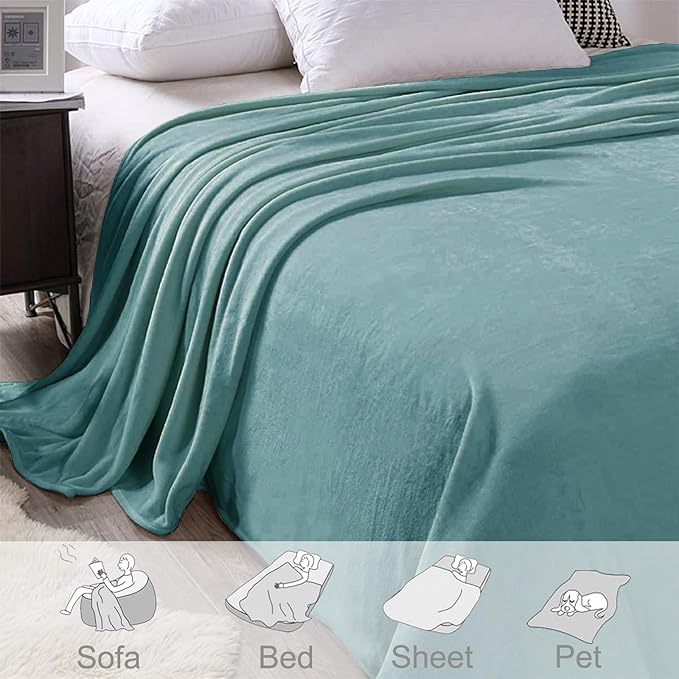 Exclusivo Mezcla Fleece Celadon Throw Blanket for Couch, Sofa, Super Soft and Warm Blankets, All Season, Cozy, Plush, Lightweight, 50x60 Inches