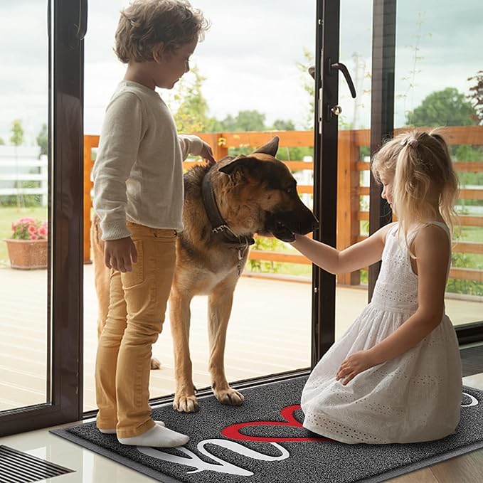 BeneathYourFeet Door Mat, Welcome Mat Low Profile Floor Mat Front Doormat Indoor and Outdoor Doormat Non Slip Rugs for Entryway, Patio, High Traffic Areas (32"x20", Grey-Home)