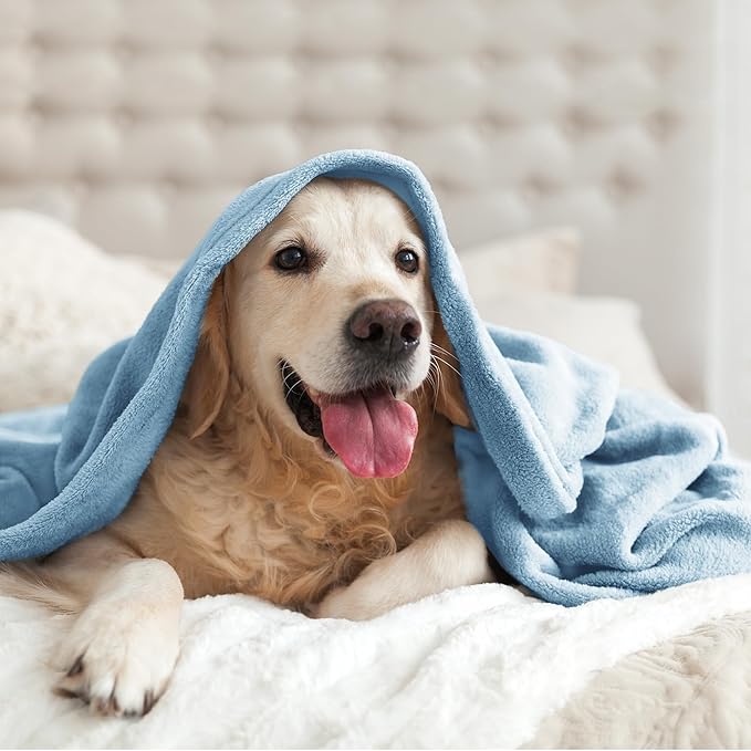 BEDELITE Fleece Blanket Twin Size Washed Blue Throw Blankets for Couch & Bed, 300GSM Luxury Plush Cozy Fuzzy Blanket 60x80 inches, Super Soft Warm Lightweight Throw Blanket for Travel Camping