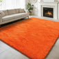 6x9 Fluffy Area Rug for Living Room,Shag Area Rugs for Bedroom,Orange Soft Fuzzy Rug Non-Shedding Indoor Plush Carpet for Kids Bedroom Nursery Dorm Home Decor