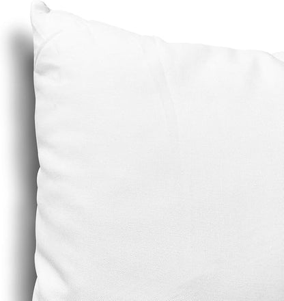 EDOW Throw Pillow Inserts, Set of 2 Lightweight Down Alternative Polyester Pillow, Couch Cushion, Sham Stuffer, Machine Washable. (White, 18x18)