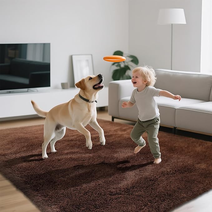 Shag Area Rugs for Bedroom Living Room,5X8 Ultra Soft Fluffy Area Rugs for Dorm, Indoor Carpet Nursery Rugs for Kids Room Home Decor,Brown