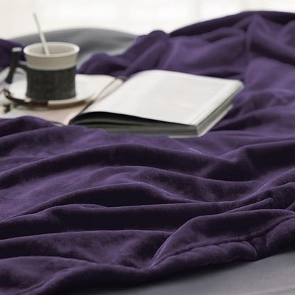 Bedsure GentleSoft Fleece Throw XL Blanket Purple - 300GSM Soft Lightweight Plush Cozy Blankets for Bed, Sofa, Couch, Travel, Camping, 50x70 inches