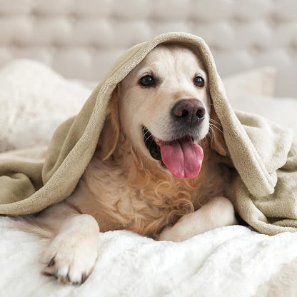 BEDELITE Fleece Blankets Queen Size Linen Throw Blankets for Bed, Luxury Plush Cozy Fuzzy Blanket 90x90 inches, Super Soft Warm Lightweight Throw Blanket All Seasons Suitable
