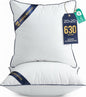 Utopia Bedding Throw Pillow Inserts (Pack of 2, White), 20 x 20 Inches Decorative Indoor Pillows for Sofa, Bed, Couch, Cushion Sham Stuffer