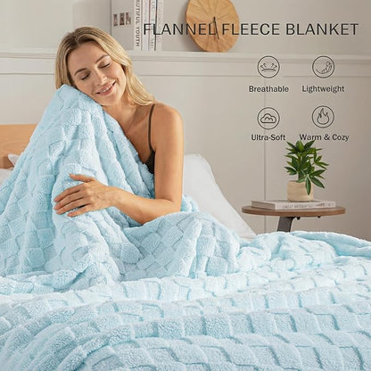 Exclusivo Mezcla Twin Size Flannel Fleece Blanket, Super Soft and Warm Lightweight Checkered Pattern Blankets for All Seasons, 60x80 Inches, Light Blue