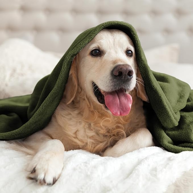 BEDELITE Fleece Blanket Twin Size Olive Green Throw Blankets for Couch & Bed, Luxury Plush Cozy Fuzzy Blanket 60x80 inches, Super Soft Warm Lightweight Throw Blanket for Travel Camping