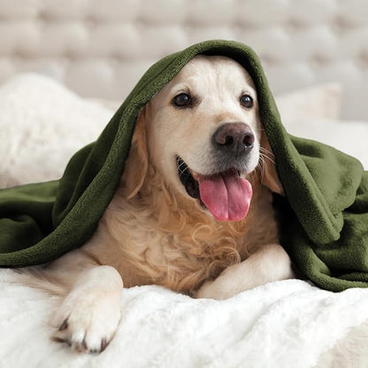 BEDELITE Fleece Blanket Twin Size Olive Green Throw Blankets for Couch & Bed, Luxury Plush Cozy Fuzzy Blanket 60x80 inches, Super Soft Warm Lightweight Throw Blanket for Travel Camping