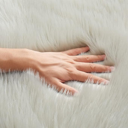 EasyJoy Ultra Soft Fluffy Shaggy Area Rug Faux Fur Rug Chair Cover Seat Pad Fuzzy Area Rug for Bedroom Floor Sofa Living Room (4 x 6 ft Rectangle, Light Grey