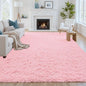 8x10 Area Rug for Living Room: Soft Fluffy Shag Pink Rugs for Bedroom, Non-Slip Large Fuzzy Plush Rug Indoor Floor Carpet for Nursery Kids Boys Girls Room, Dorms, Playroom, Modern Home Decor