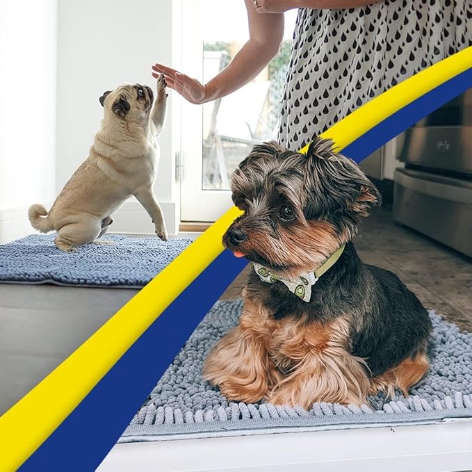 Muddy Mat® | Super Absorbent Door Mat Indoor, Microfiber Quick Dry Chenille Entryway Rug, Non-Slip Front Door Mat, Indoor Mats for Entryway, Machine Washable Pet Rug, Baby Blue 16"x24"